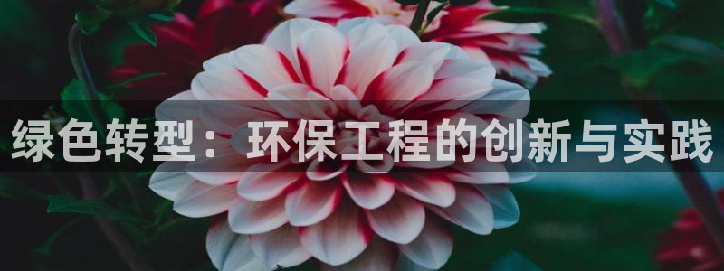 彩名堂免费计划官网50：绿色转型：环