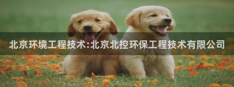 彩名堂用不了：北京环境工程技术:北京北控环保工程技术有限公司