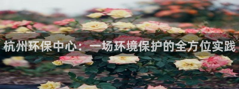 彩名堂app官方下载：杭州环保中心：一场环境保护的全方位实践