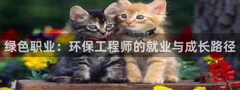 彩名堂免费计划官网50：绿色职业：环保工程师的就业与成长路径