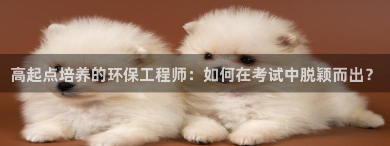 彩名堂怎么样：高起点培养的环保工程师：如何在考试中脱颖而出？