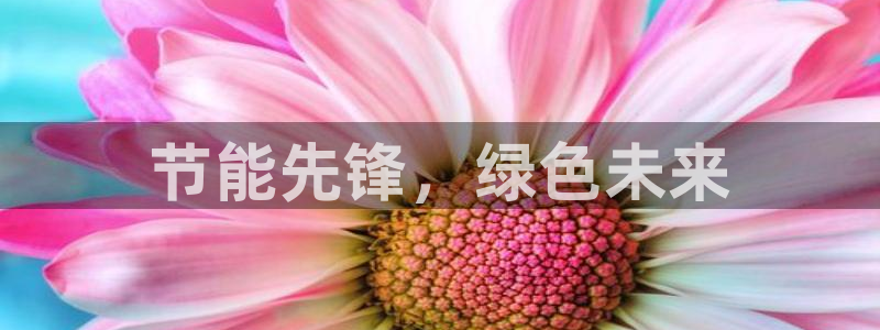 彩名堂和01计划哪个好：节能先锋，绿色未来