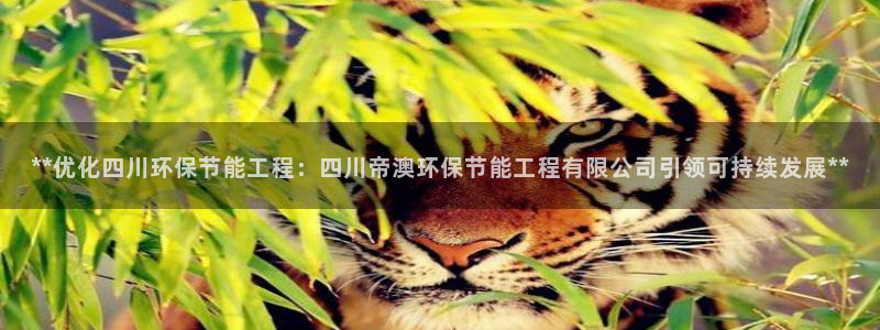 彩名堂手机客户端怎么下载：**优化四川环保节能工程：四川帝澳