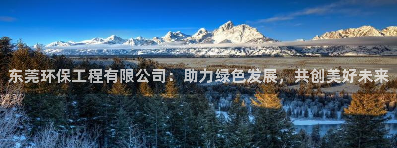 彩名堂客户端加拿大：东莞环保工程有限公司：助力绿色发展，共创