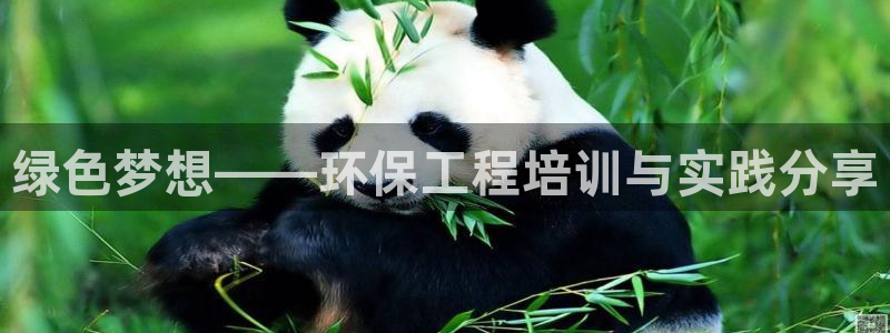 彩名堂安卓客户端官网下载安装：绿色梦想——环保工程培训与实践