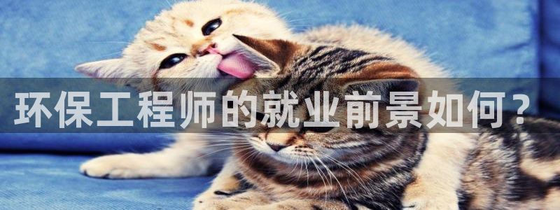彩名堂的拼音：环保工程师的就业前景如何？