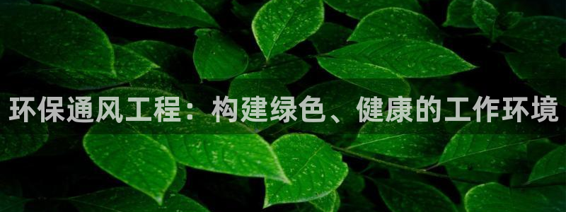 彩名堂怎么样：环保通风工程：构建绿色、健康的工作环境