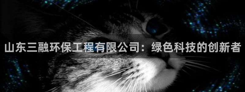 彩名堂为什么打不开：山东三融环保工程有限公司：绿色科技的创新
