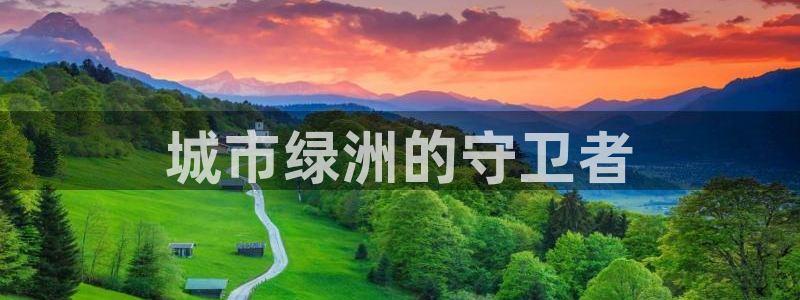 彩名堂免费计划官网5 0：城市绿洲的守卫者