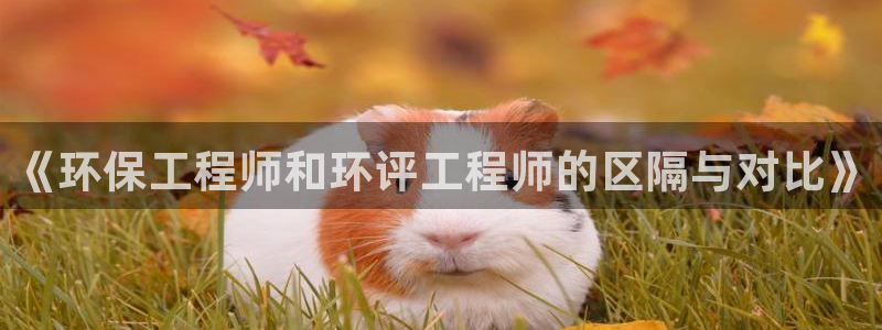 彩名堂排三：《环保工程师和环评工程师的区隔与对比》