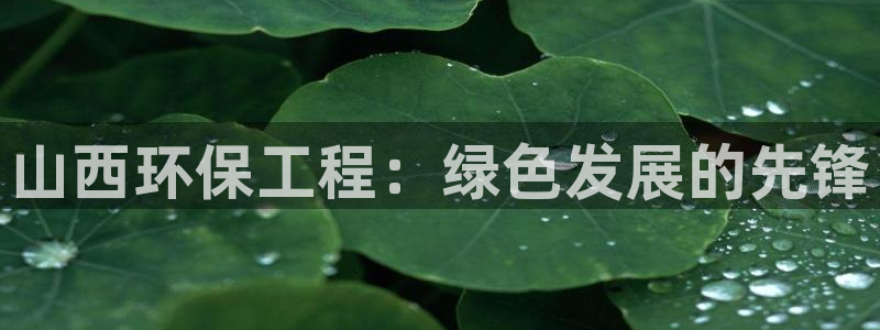 彩名堂移动客户端怎么下载：山西环保工程：绿色发展的先锋