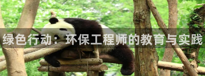 彩名堂人工计划客户端官网：绿色行动：环保工程师的教育与实践