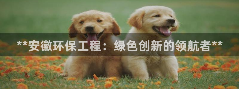 彩名堂免费计划使用方法：**安徽环保工程：绿色创新的领航者*