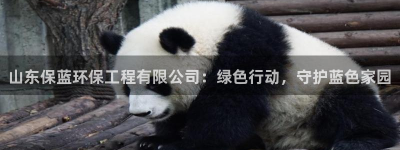 彩名堂好用还是千里马好用一点：山东保蓝环保工程有限公司：绿色