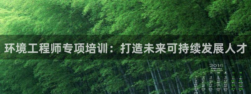 彩名堂一直不出结果怎么回事：环境工程师专项培训：打造未来可持
