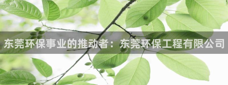 下载彩名堂预测计划软件安卓：东莞环保事业的推动者：东莞环保工