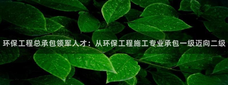 彩名堂改名稻草人了吗：环保工程总承包领军人才：从环保工程施工