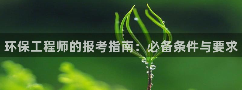 正规彩名堂官网计划01：环保工程师的报考指南：必备条件与要求