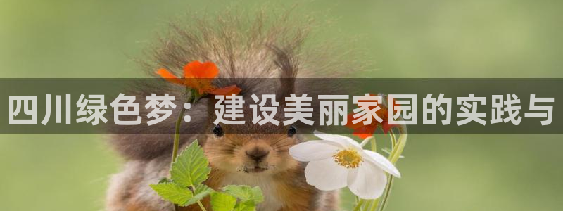 下载彩名堂预测计划软件安装：四川绿色梦：建设美丽家园的实践与