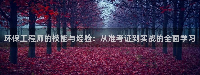 彩名堂免费计划客户端官网：环保工程师的技能与经验：从准考证到