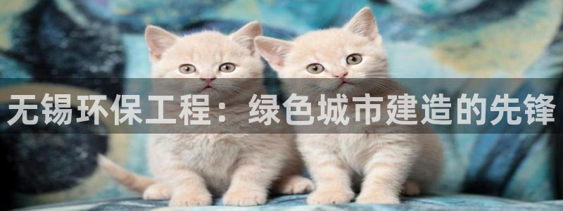 彩名堂975新版本：无锡环保工程：绿色城市建造的先锋