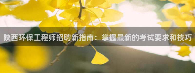 彩名堂怎么不能用了：陕西环保工程师招聘新指南：掌握最新的考试