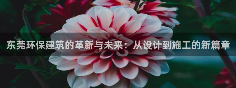 彩名堂一直不出结果怎么回事儿：东莞环保建筑的革新与未来：从设